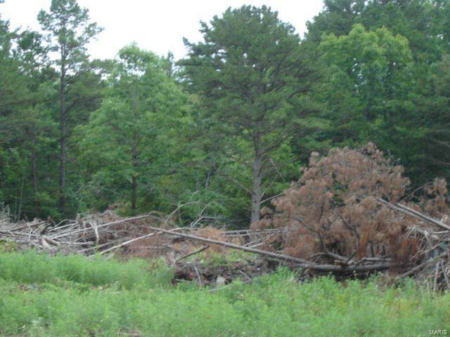 12831 Cadle Road - Photo 1