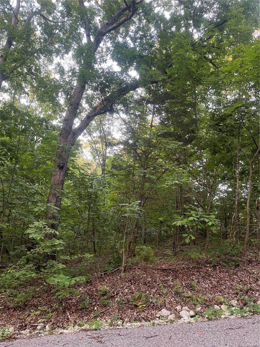 211 Bluebird Lane - Photo 1