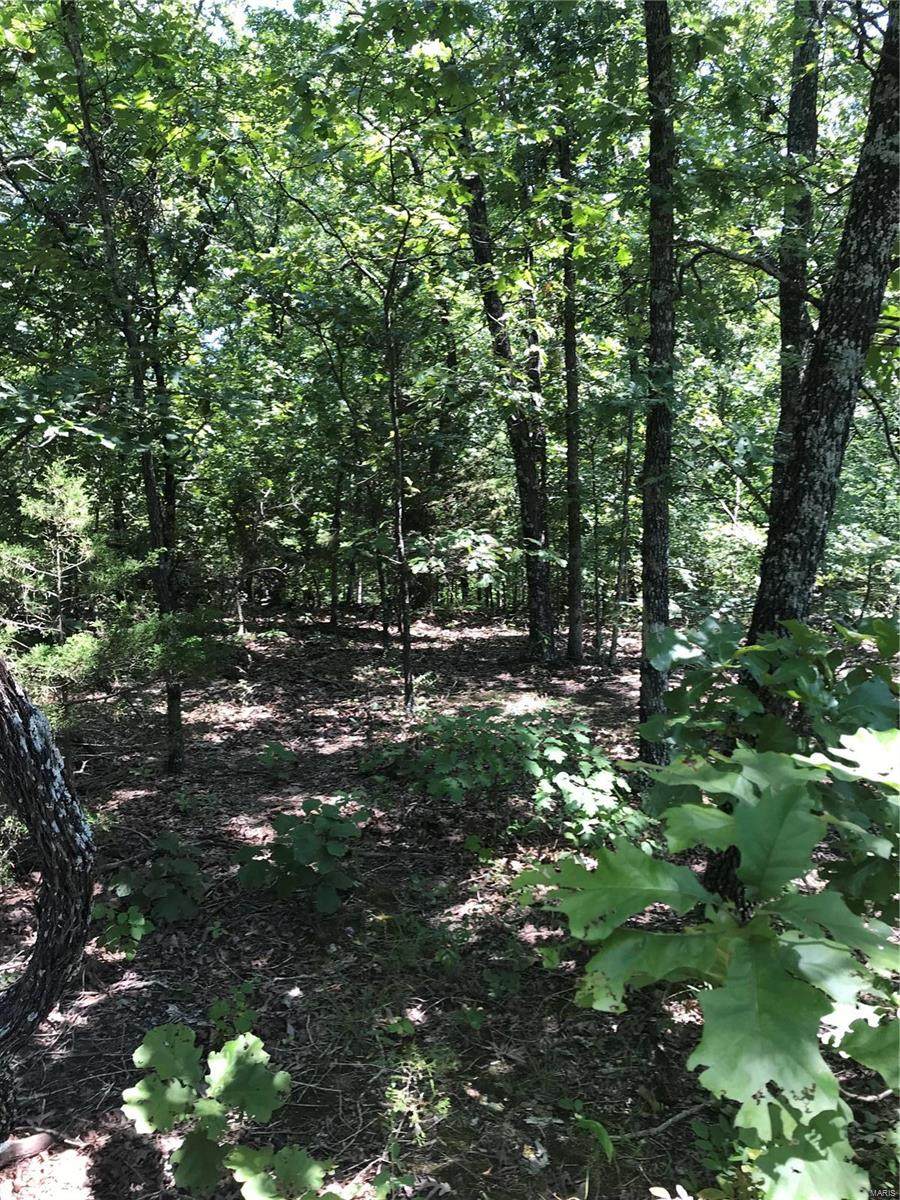 0 St Francois - Photo 1