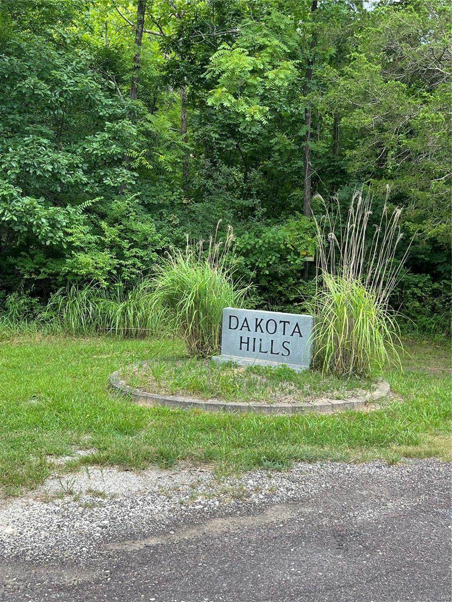 11 Dakota Hills - Photo 1