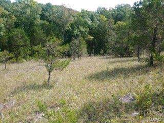 5670 Forest Drive - Photo 1