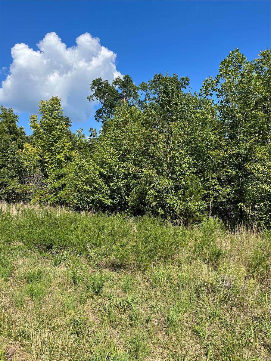11 And Lot 15 Hunters Ridge - Photo 1