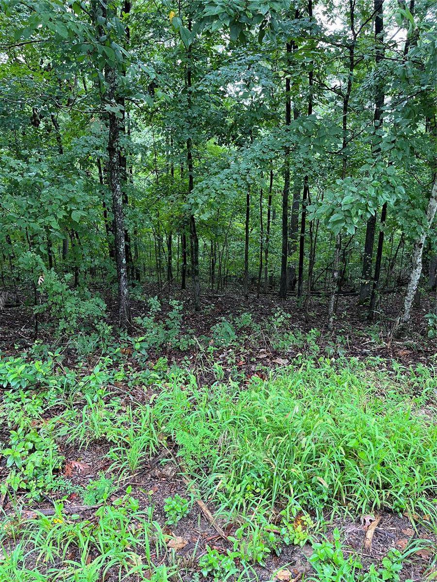 0 Lot 7 Craft Subdivision - Photo 1