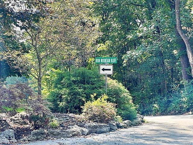 4372 Iron Mountain Bluff Rd - Photo 1