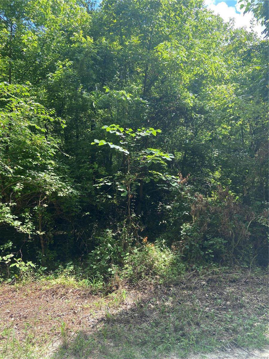 3838 Oak Hill Dr. - Photo 1