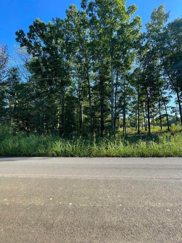 0 County Road 534 - Photo 1