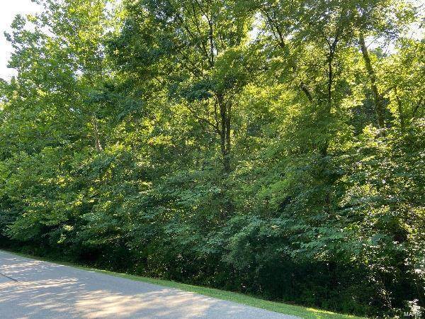 19261 Saint Albans Forest Lane - Photo 1