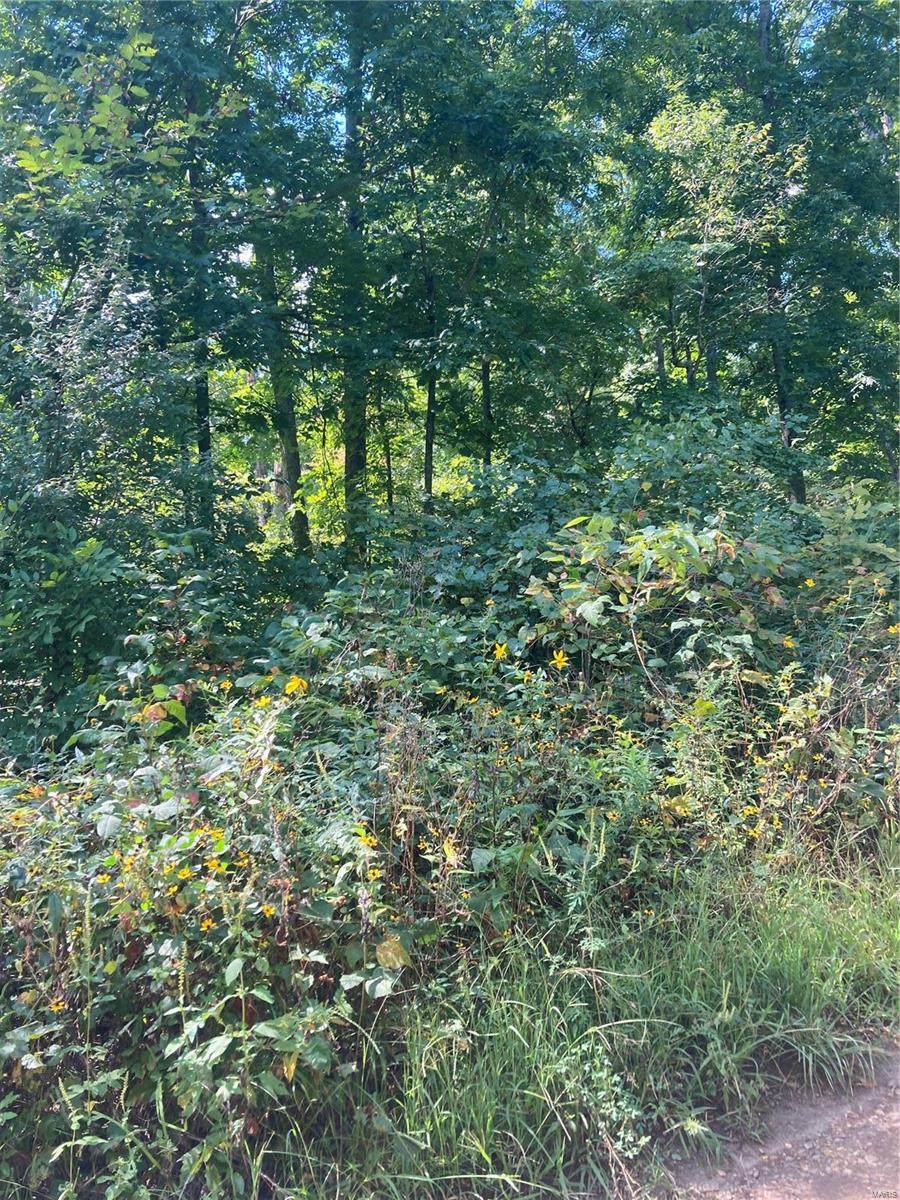 592 Springfield Dr - Photo 1