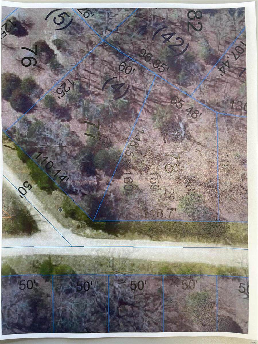 501 Lark Spur Drive - Photo 1