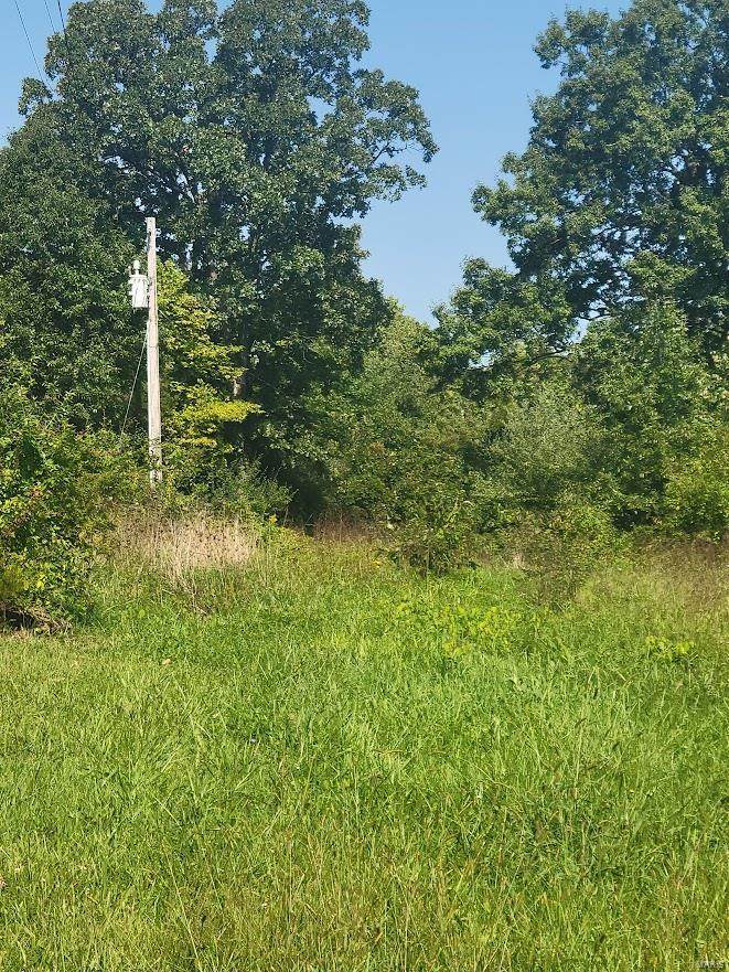 0 Holly Drive - Photo 1