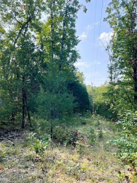 14 Lot Riverview - Photo 1
