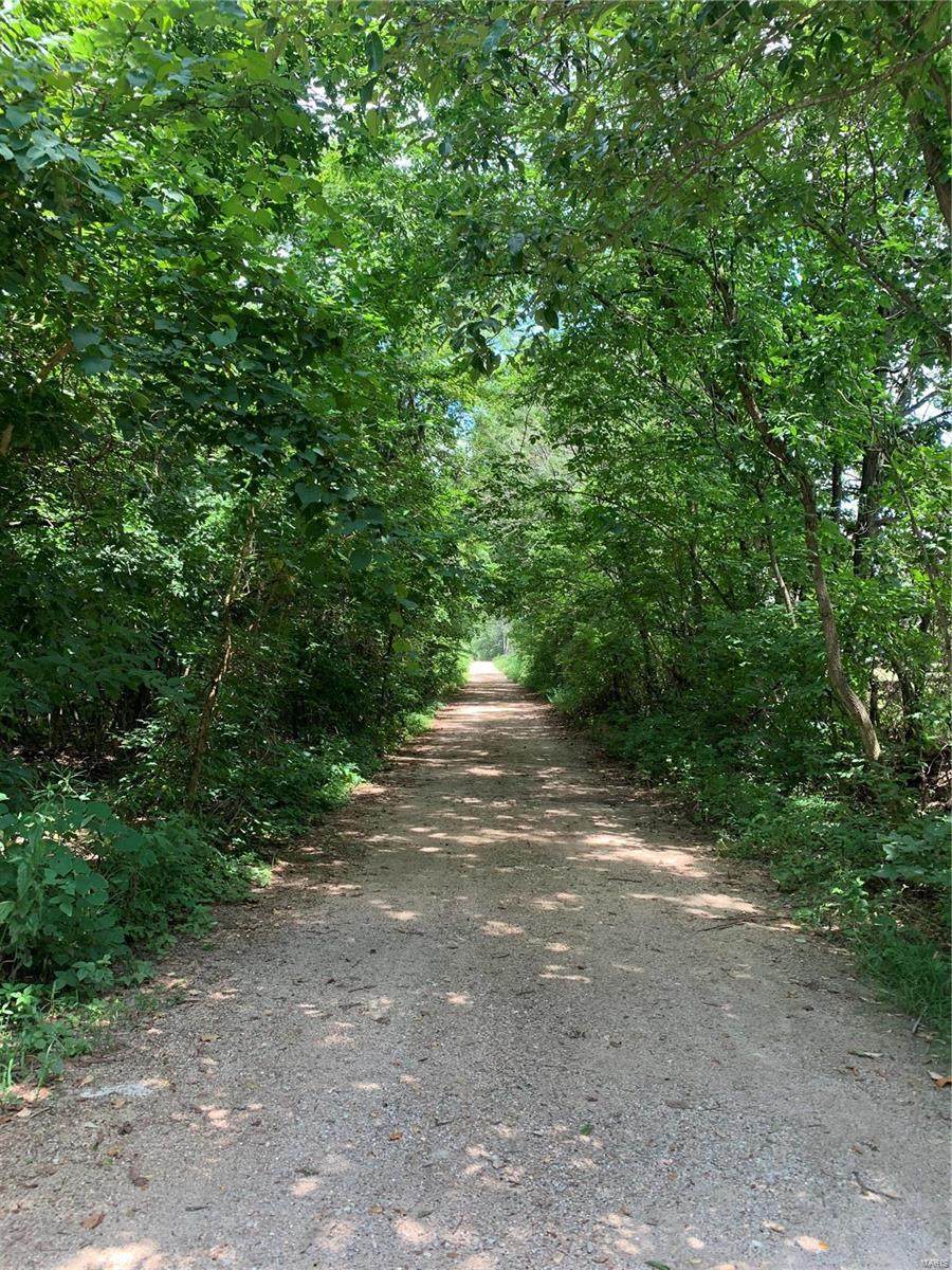 10335 Paw Paw Road - Photo 1