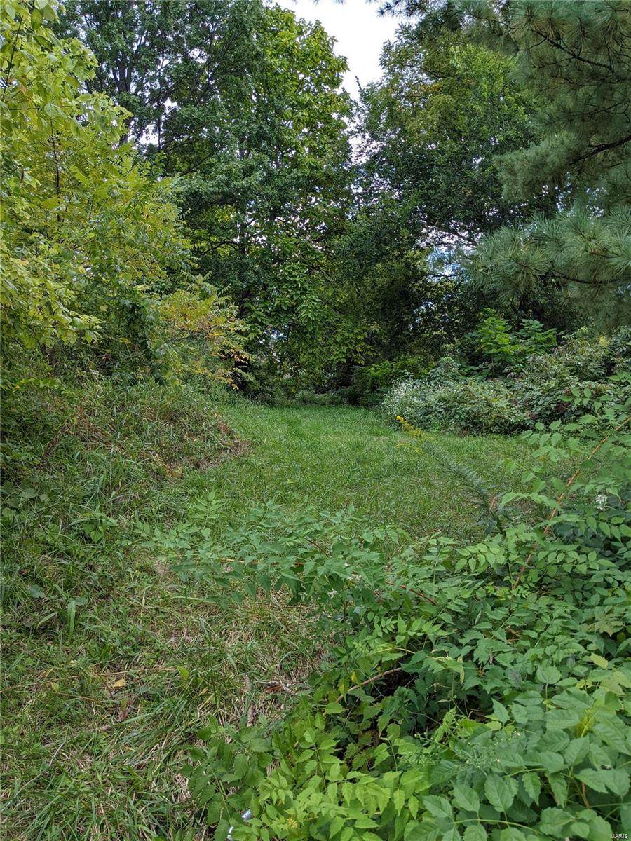 2802 Old Hanley Road - Photo 1