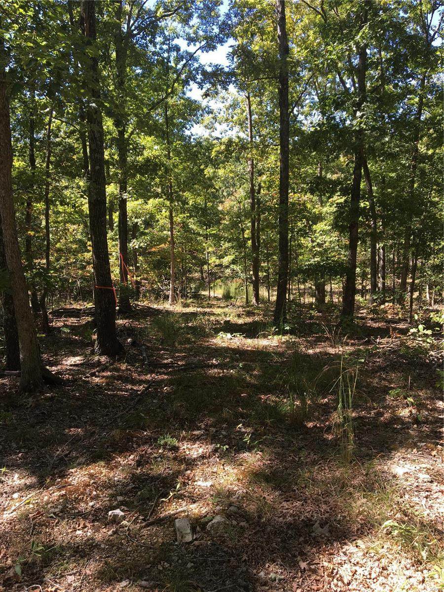 4449 County Road 131 - Photo 1