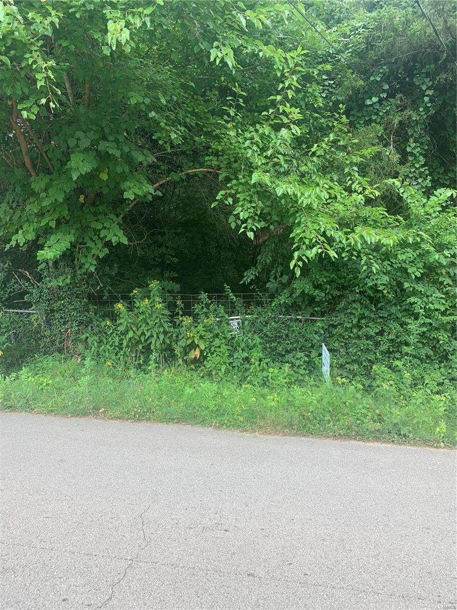 217 Durham Street - Photo 1
