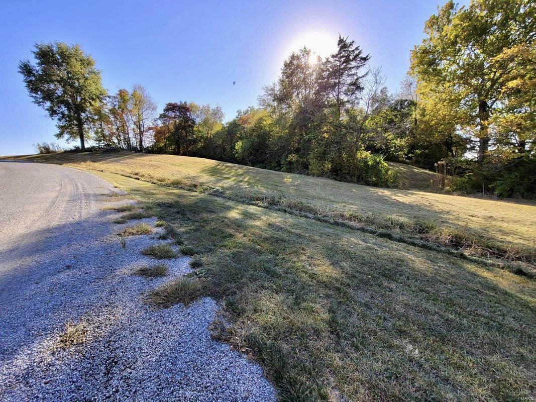 12618 Harvest View Lane - Photo 1