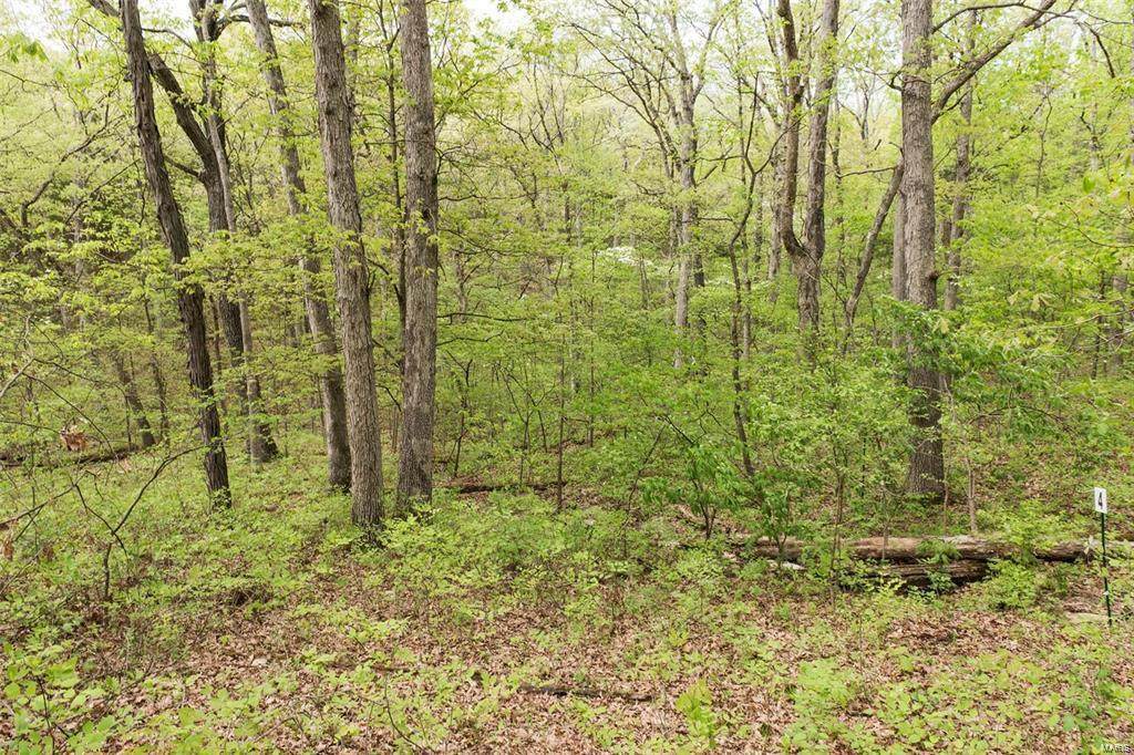 113 Long Oaks Drive - Photo 1