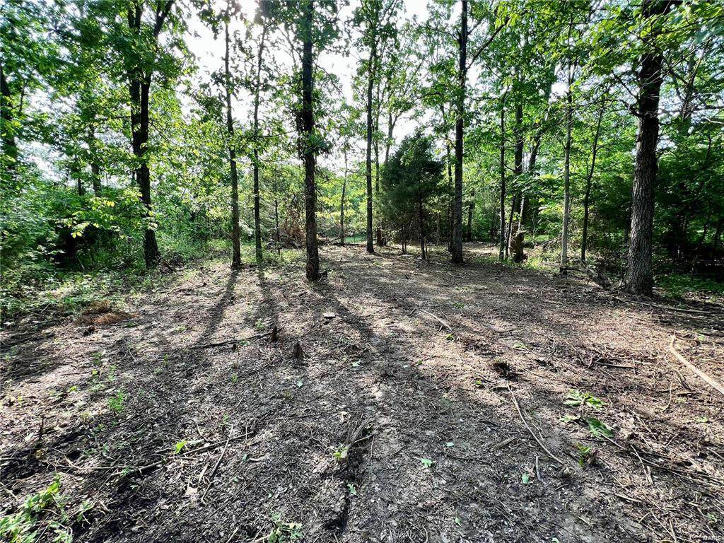 0 Lots 8A & 9A Lake Harmony - Photo 1