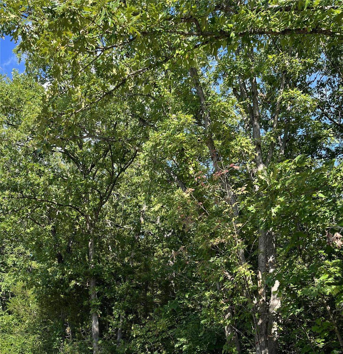 8 Hunters Ridge - Photo 1