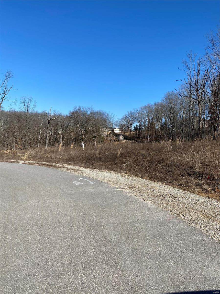 0 Lot 89 Holler Dr - Photo 1