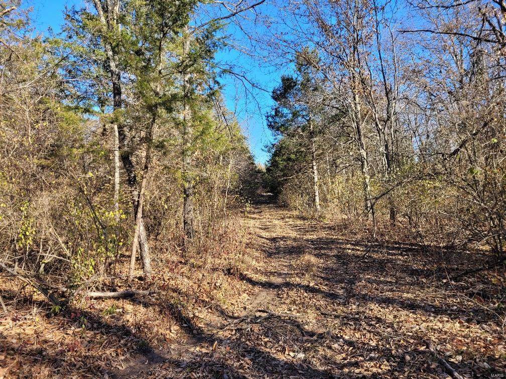 0 Harlan Dr. (2.79+/- Ac) Lot 1 - Photo 1