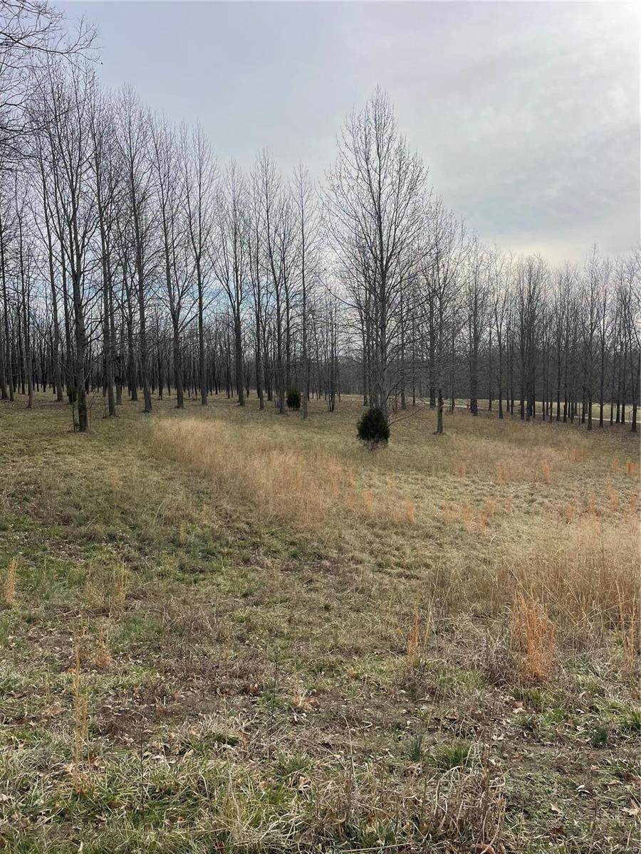 0 Pecan Landing Lane - Photo 1