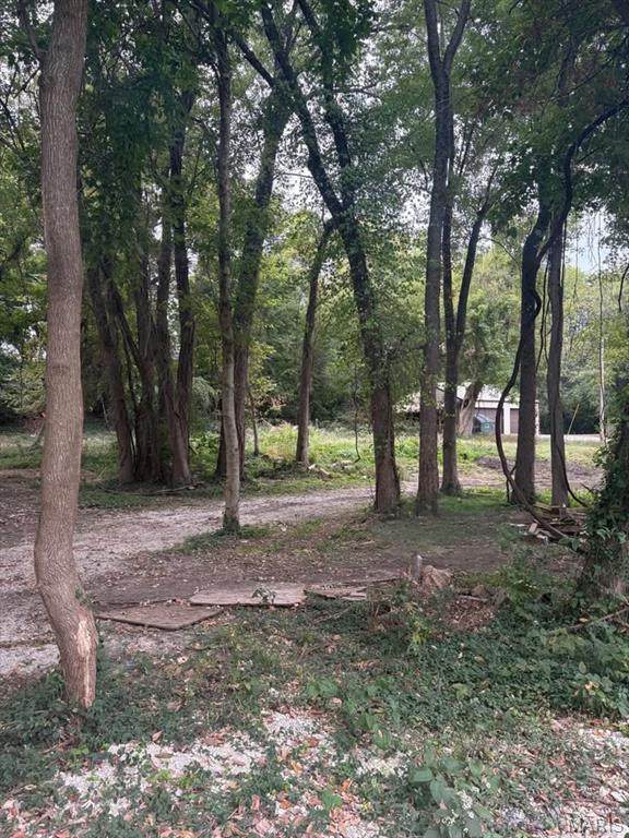 0 Elm Street - Photo 1