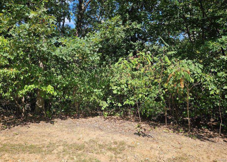 0 Lot 11 Tarrant's Estates - Photo 1