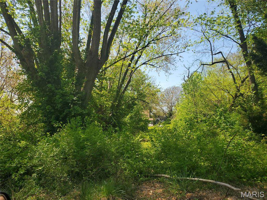 715 Ann Street - Photo 1