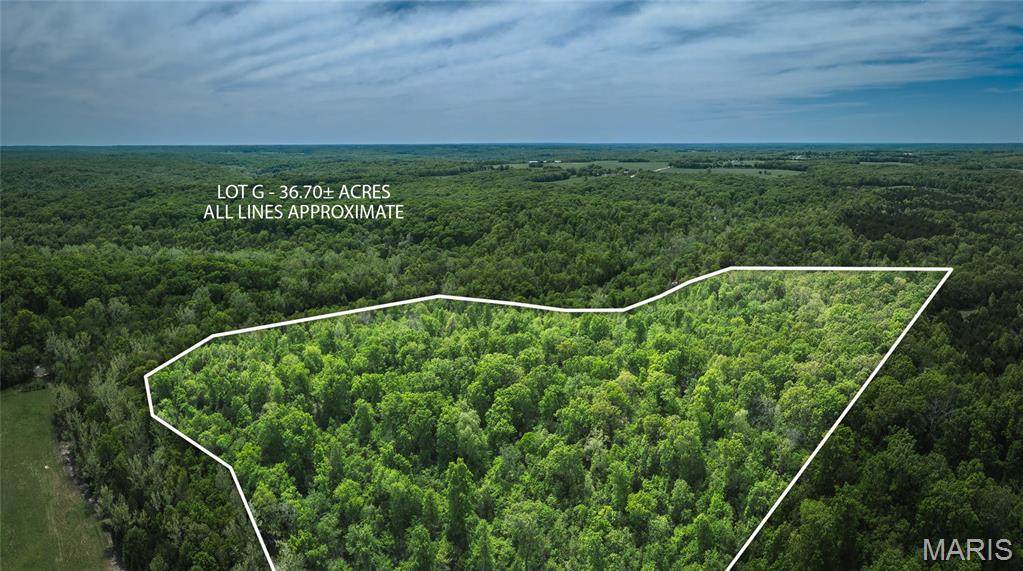 0 Lot G, Armadillo Lane - Photo 1