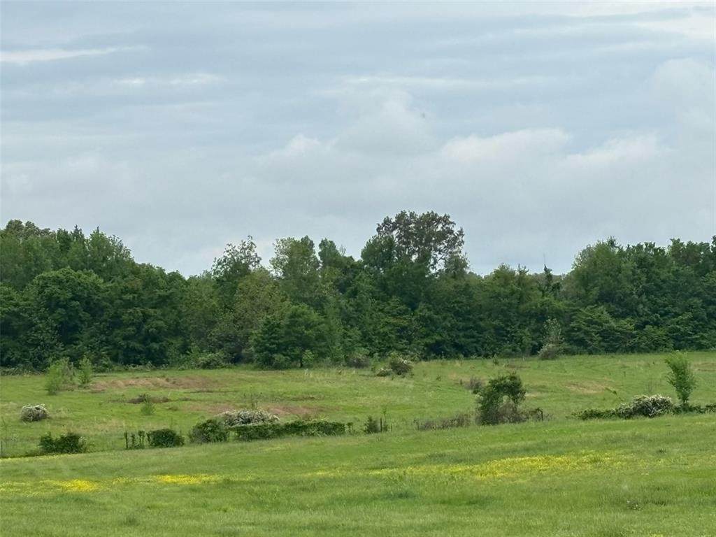 .0 County Road 249 - Photo 1