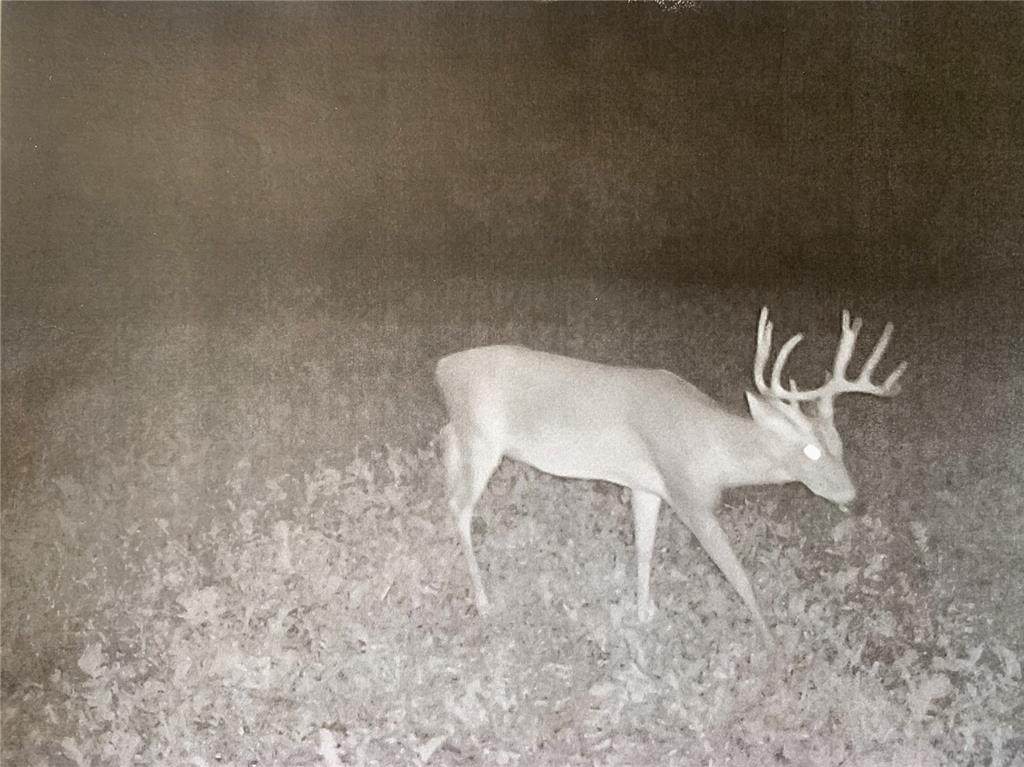 000 County Road 515 - Photo 1