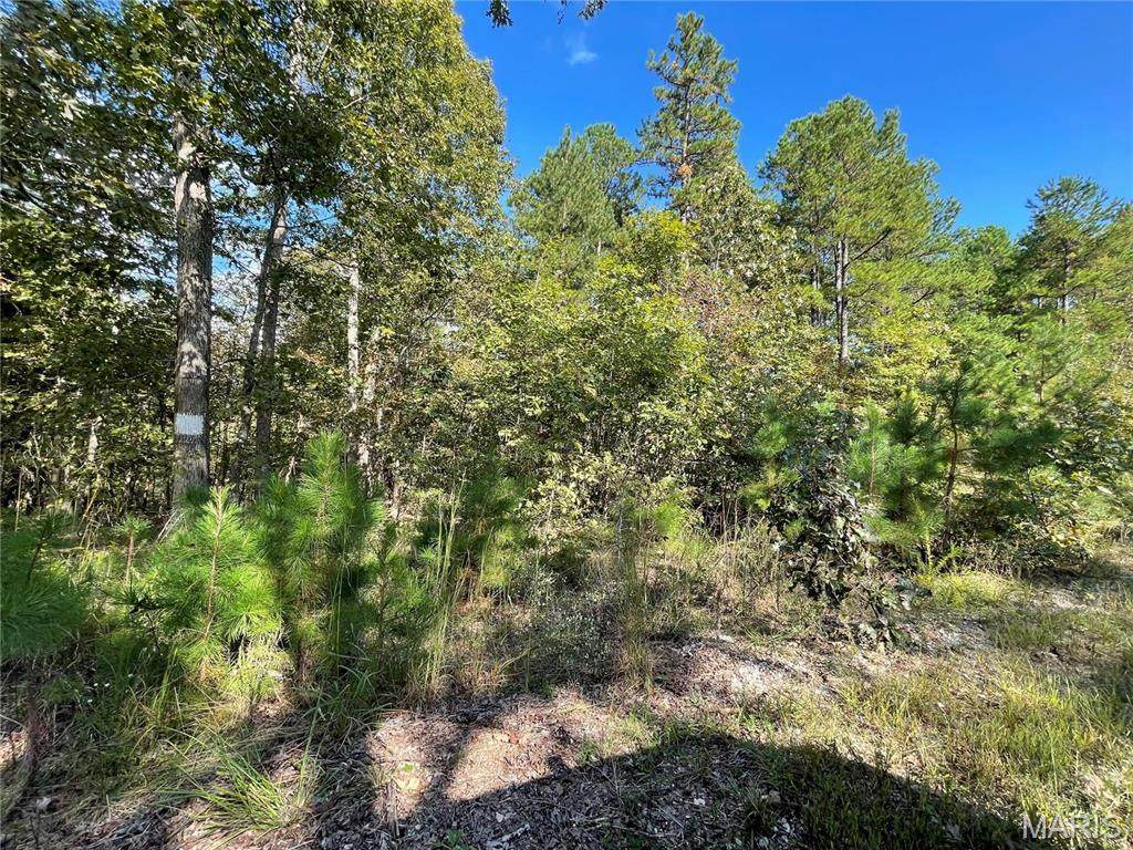 4 Woodland Heights - Photo 1