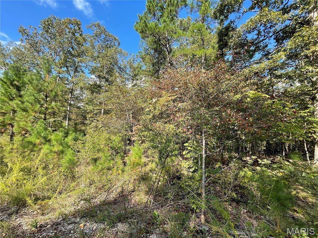 6 Woodland Heights - Photo 1