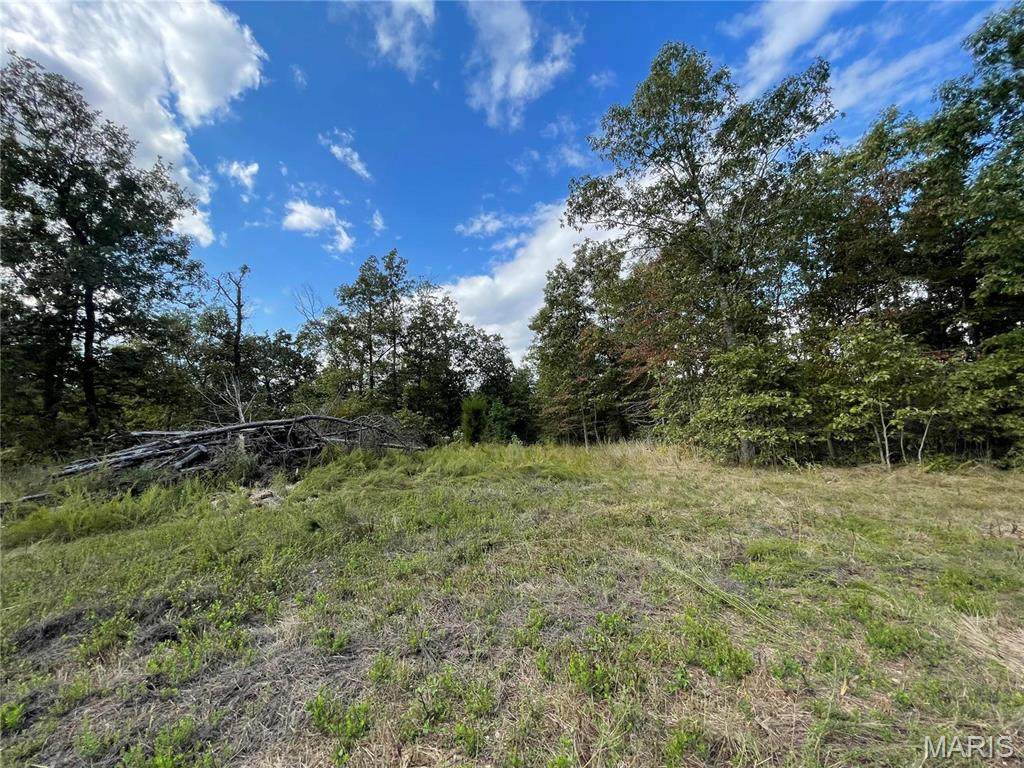 14 Woodland Heights - Photo 1