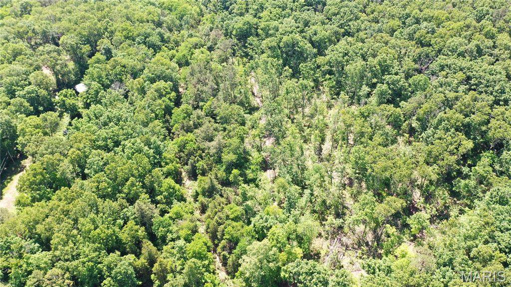 1394 (Parcel D) County Road 6580 - Photo 1