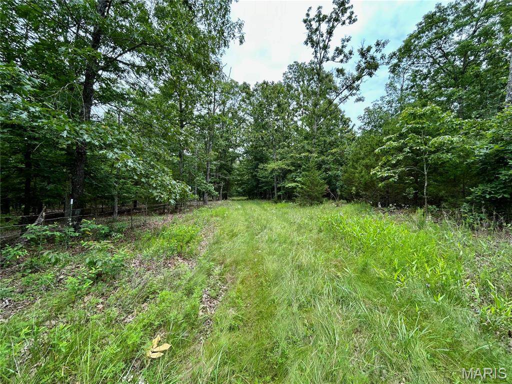 0 County Road 5500 - Photo 1