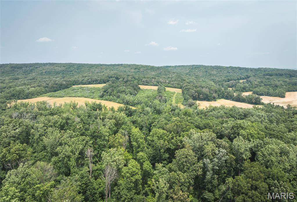 3485 Coyle Lane - Photo 1