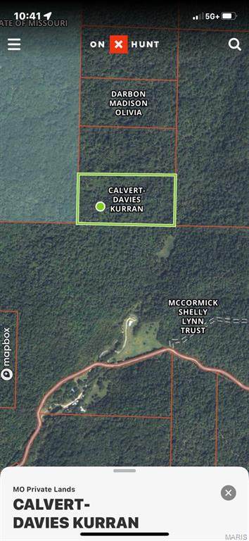 0 N of County Road 336-C - Photo 1