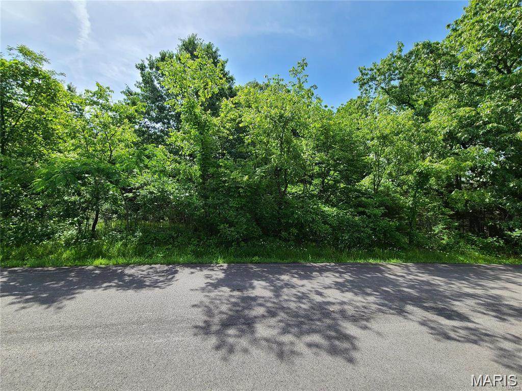 10312 Turkey Trail Drive - Photo 1