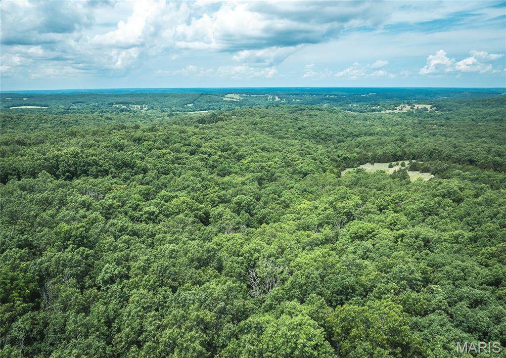 000 Rolling Rock Road - Photo 1