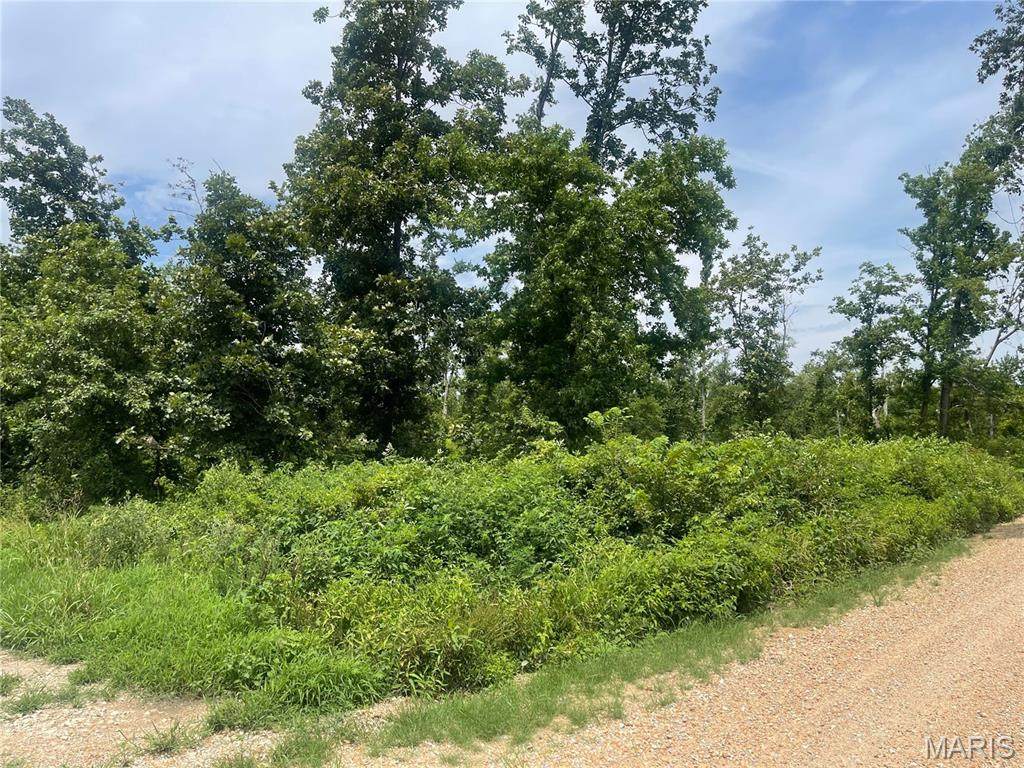 000 County Road 315 - Photo 1
