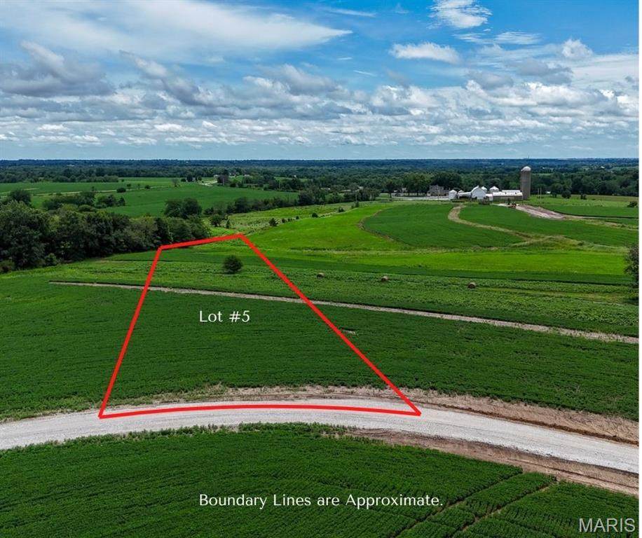 232 Autumn Hallow Ct - Photo 1