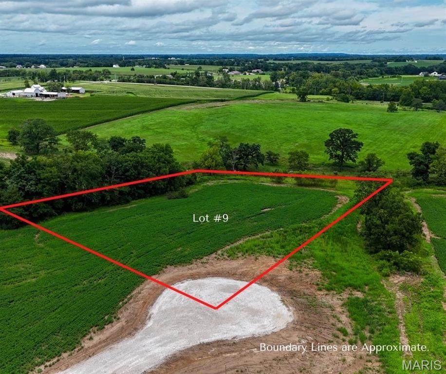 251 Autumn Hallow Ct - Photo 1