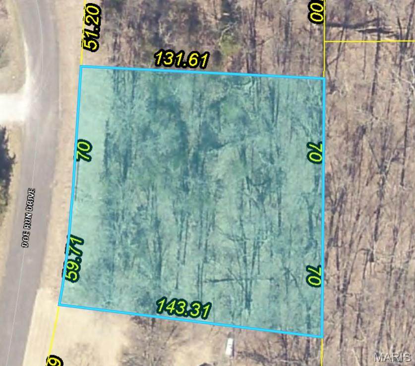 2437 Doe Run - Photo 1