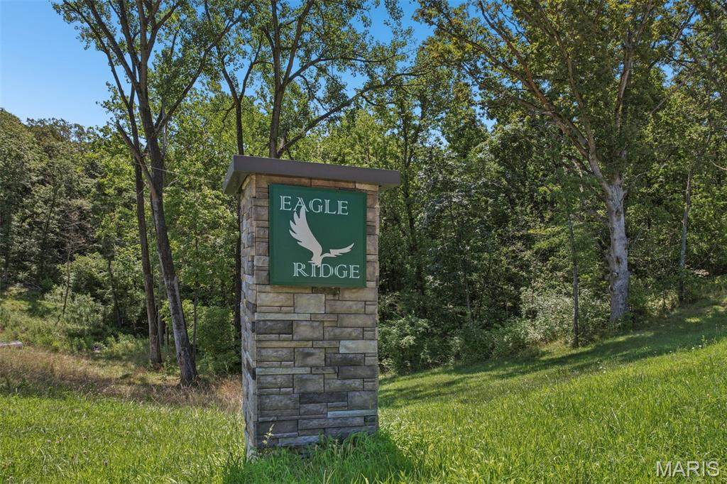 4 Forest Ridge Lane - Photo 1