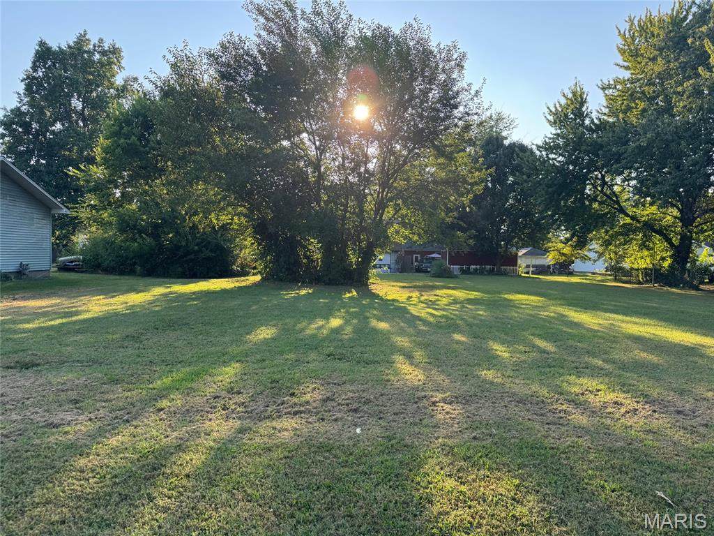 TBD Van Buren Street - Photo 1