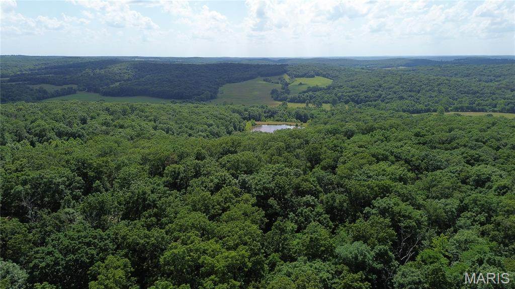 Lot #8 Anthonies Mill Road - Photo 1