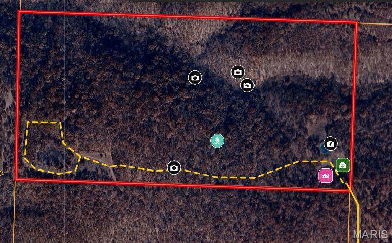 1038 Mug Drive - Photo 1