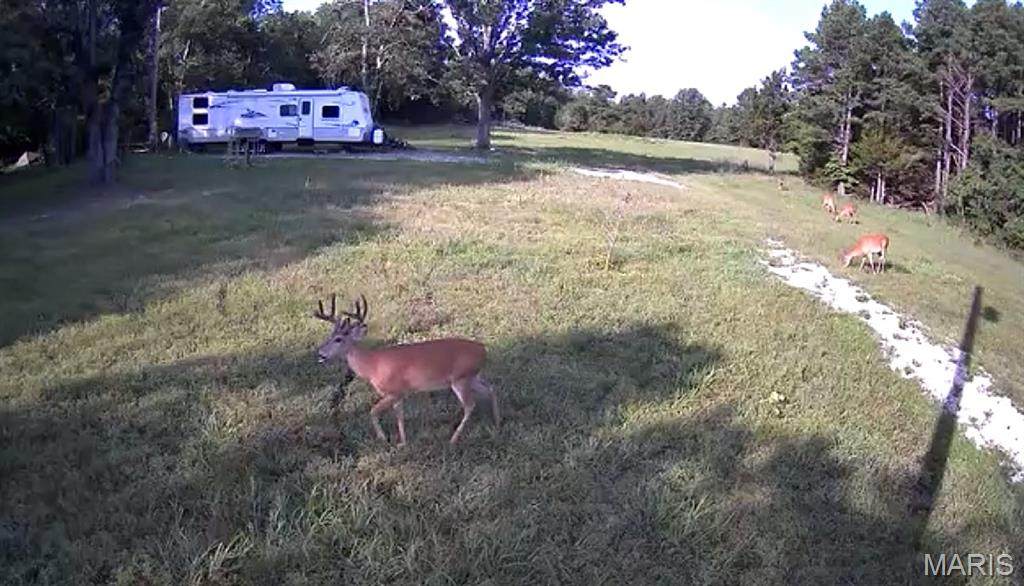 0 County Road 2590 - Photo 1